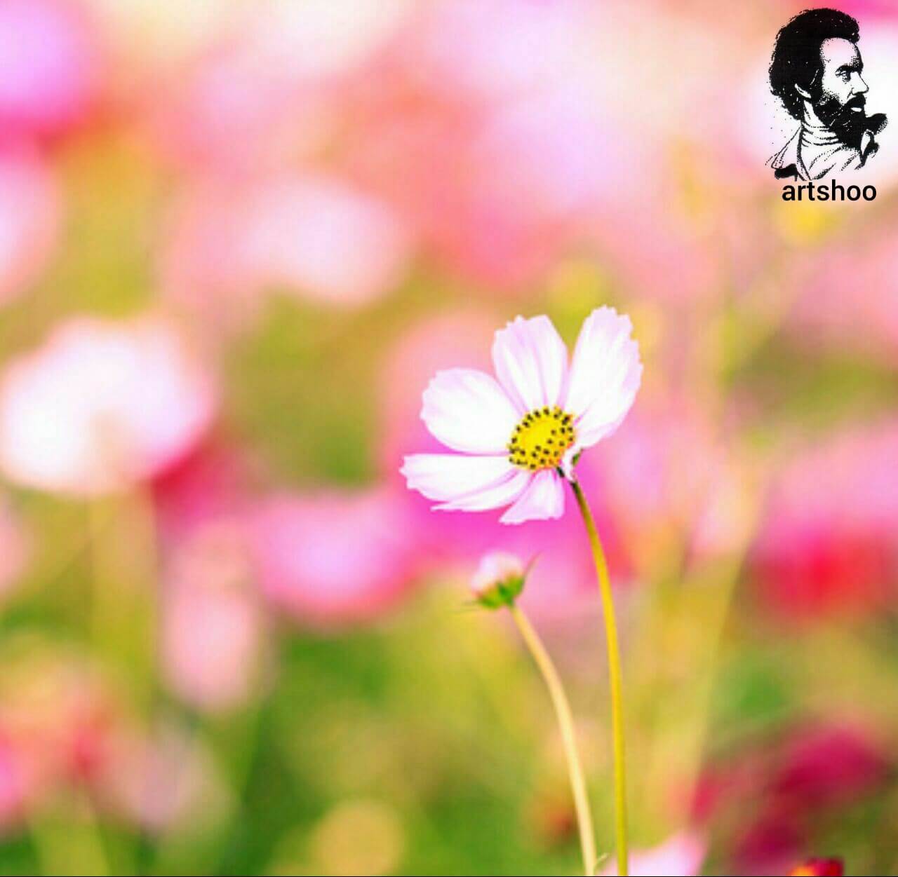 آموزش نقاشی رنگ روغن